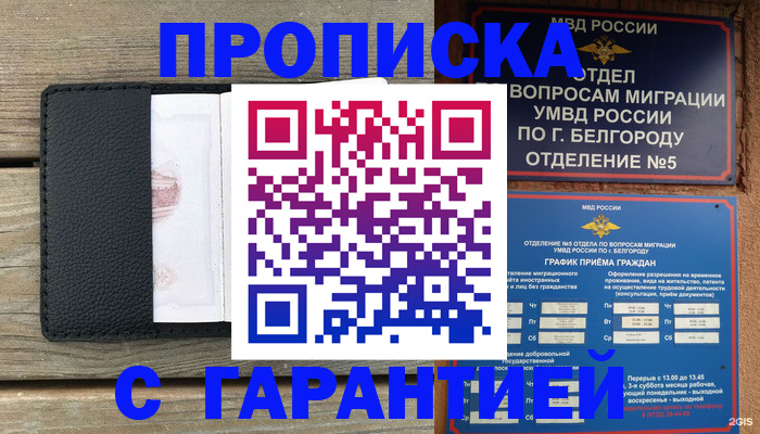 купить прописку в Мурманской области